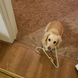 Meet your Posher, Terry